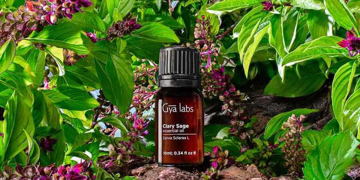 The Best Clary Sage Essential Oil: Discover the Excellence of GyaLabs Clary Sage Oil